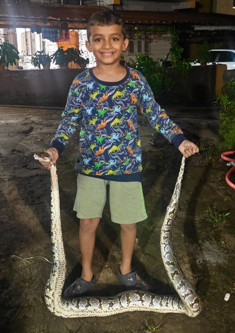 Nine feet long python found in Majjid area of ​​New Gard..