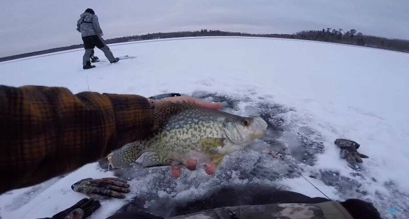 A look at ice fishing live casino